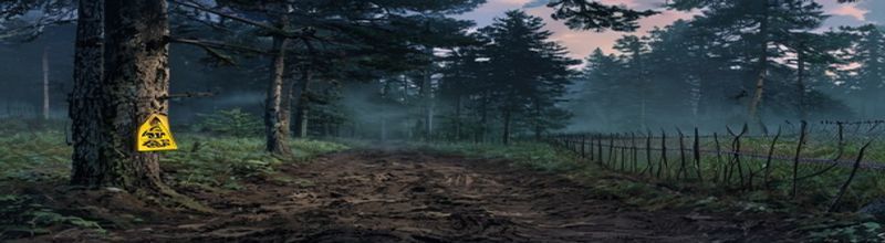Panoramic view of a dense European forest edge at dusk with wild boar footprints in muddy ground leading from grass into dark pine woodland, a yellow biosecurity warning sign nailed to a tree, a stretch of double-wire fencing along the forest boundary, cool mist rising, muted green and brown tones