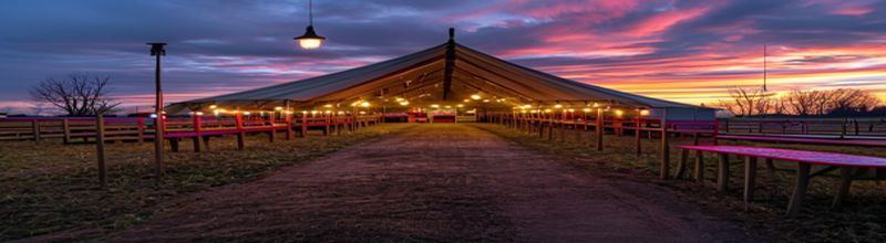 Wide panoramic view of an empty open-sided English agricultural show tent at dusk, rows of vacant wooden poultry show cages lined with fresh straw, wet tarmac outside, hanging bare bulb lights casting warm pools of light, wooden judging tables, a single red and white biosecurity disinfection station at the tent entrance