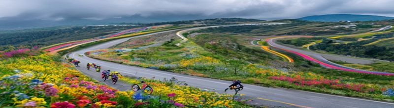 Panoramic wide-angle view of a Giro d'Italia peloton riding along a winding mountain road through wildflower meadows in the Bulgarian interior, distant rolling hills under an overcast sky, brightly coloured flowers in the foreground, no faces visible at distance, documentary realism, no people no faces no hands